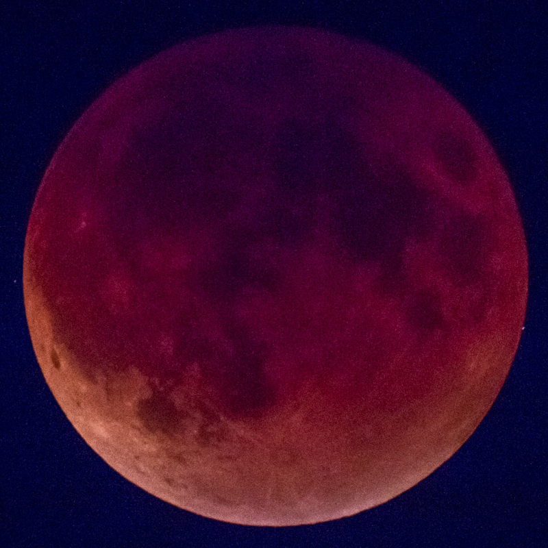 Illustration for article titled 34 Amazing Photos Of The Super Blood Moon